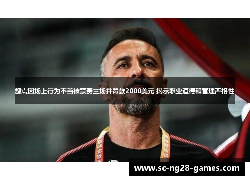 魏震因场上行为不当被禁赛三场并罚款2000美元 揭示职业道德和管理严格性