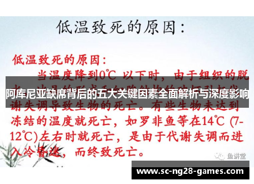 阿库尼亚缺席背后的五大关键因素全面解析与深度影响