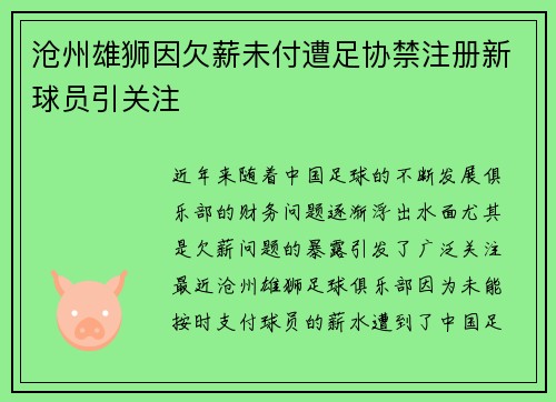 沧州雄狮因欠薪未付遭足协禁注册新球员引关注 沧州雄狮因欠薪未付遭足协禁注册新球员引关注